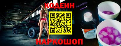 мдпв Бийск