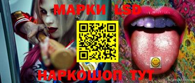 индика Беслан