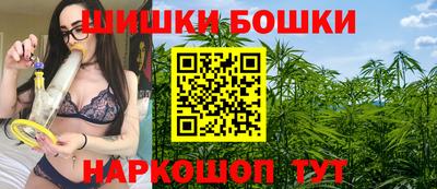 индика Беслан