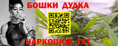 мдпв Бийск