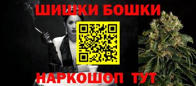 индика Беслан