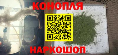 мдпв Бийск