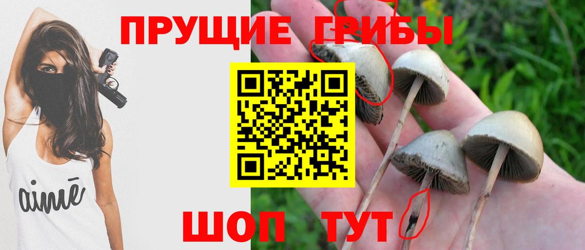 Галлюциногенные грибы прущие грибы Воркута